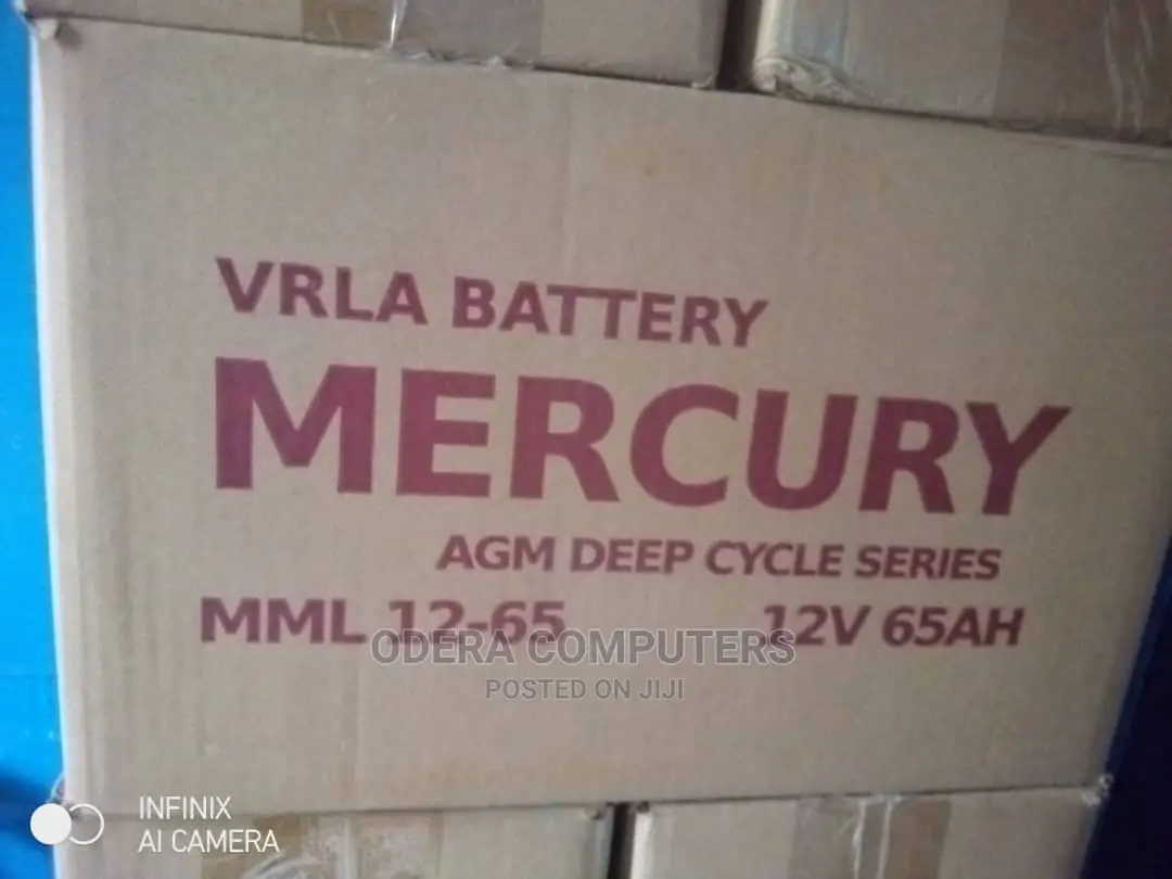 VRLA UPS Battery Mercury AGM Deep Cycle Series 12V 65AH