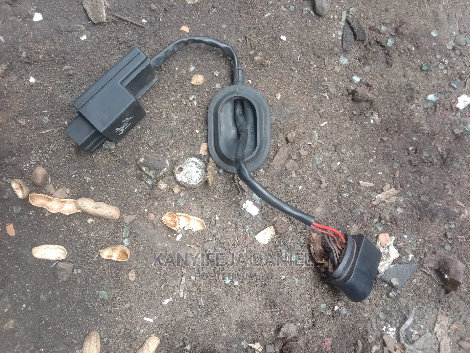 Fuel Pump Relay