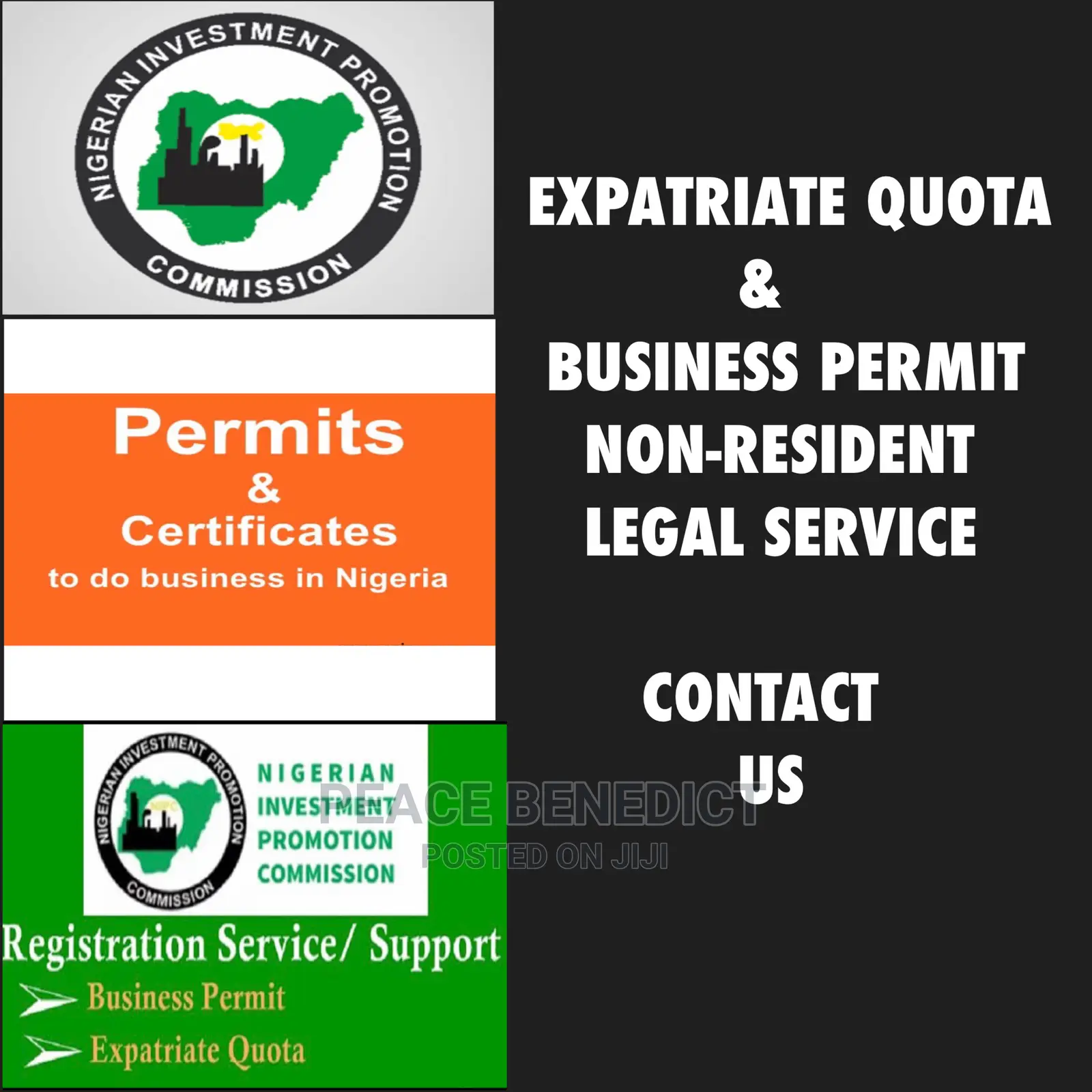 Expatriate Quota, Work Permit, Business Permit