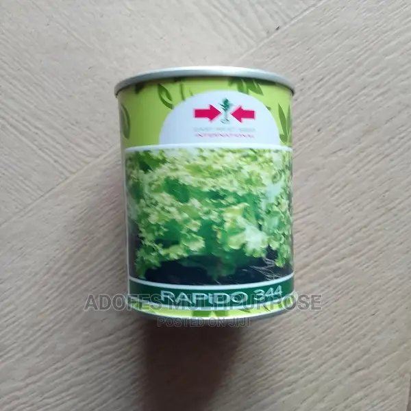 Lettuce Seeds Rapido 344