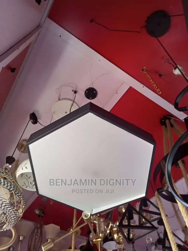 Led Dropped Pendant Light