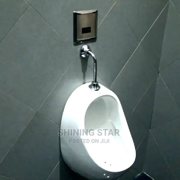 Sensor Urinal Bowl