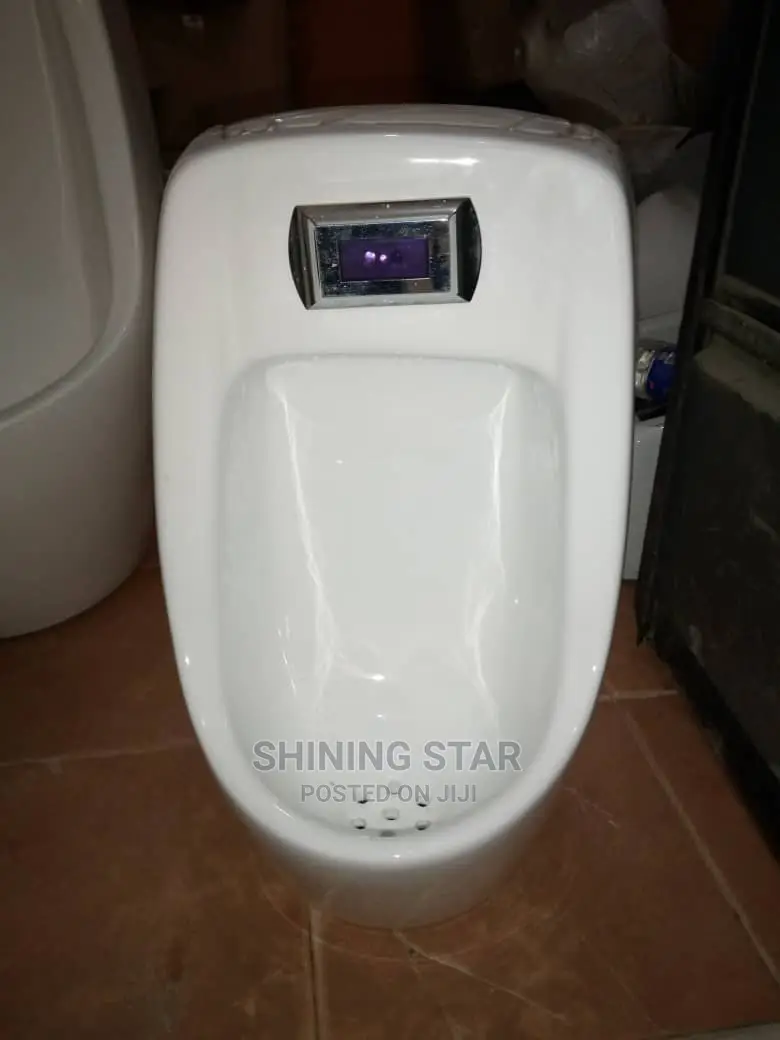 Sensor Urinal Bowl