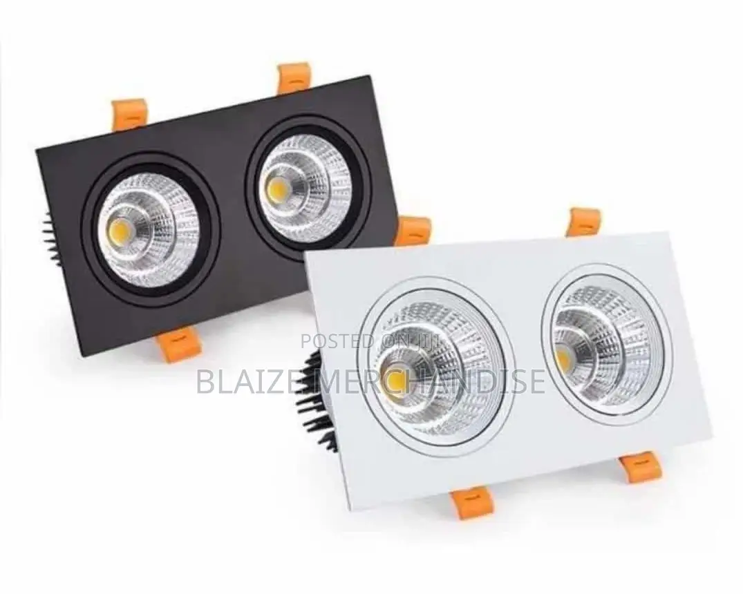 Double Spot Light