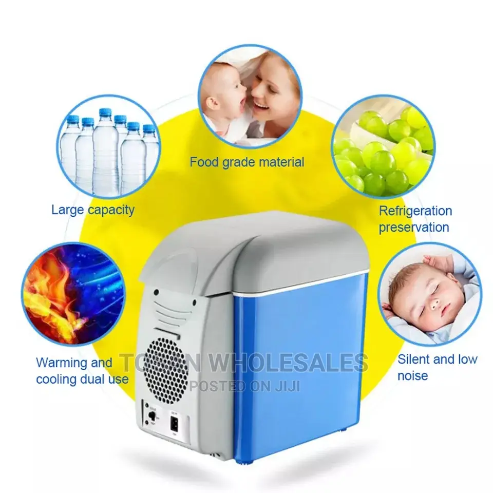 Mini Portable Car Fridge