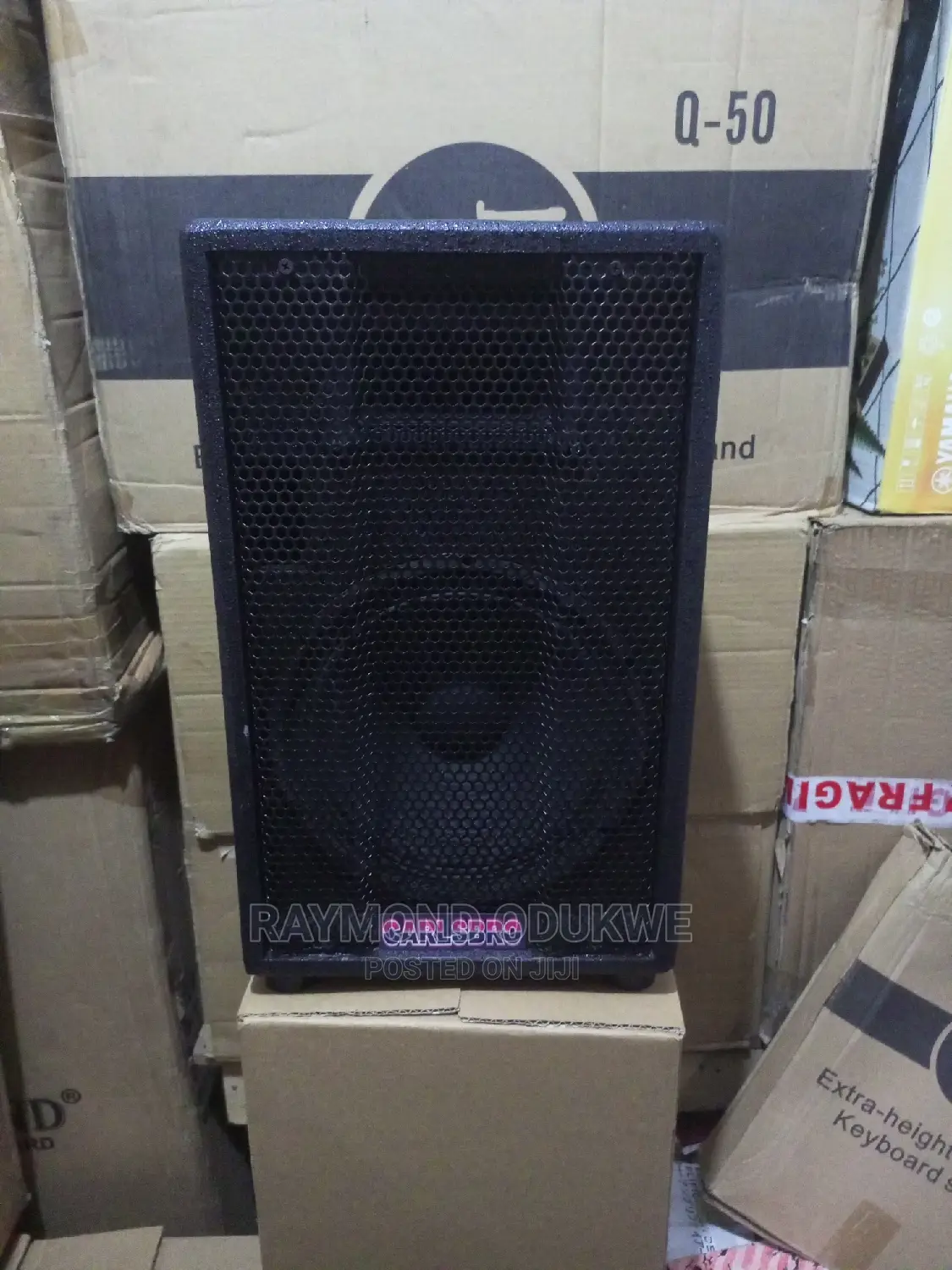 Carlsbro 10 Inch Passive P.A System