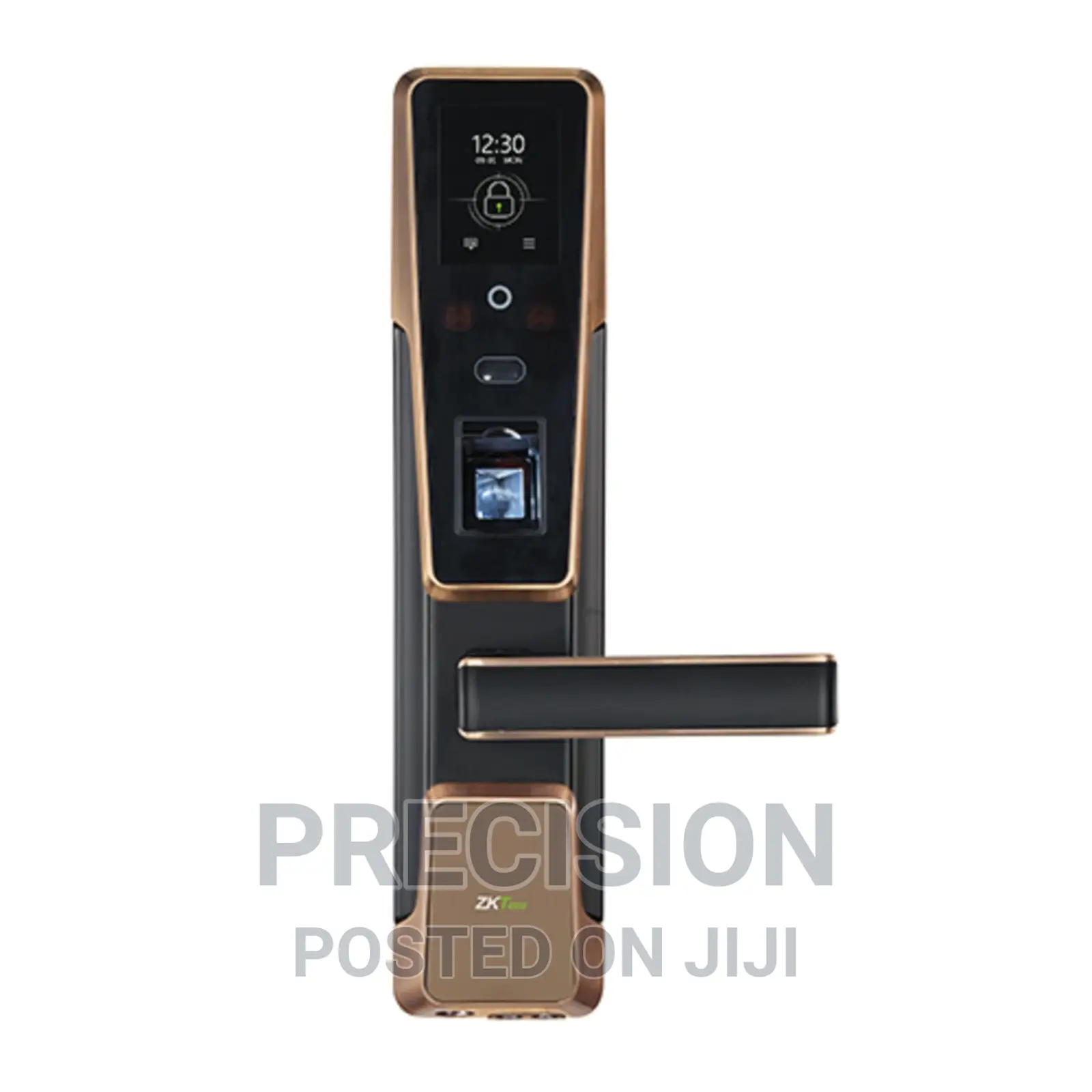 ZM100 Smart Lock With Hybrid Biometric Recognition