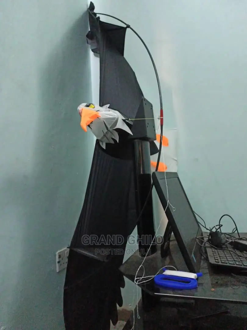Eagle Kite 3D With Carry Bag