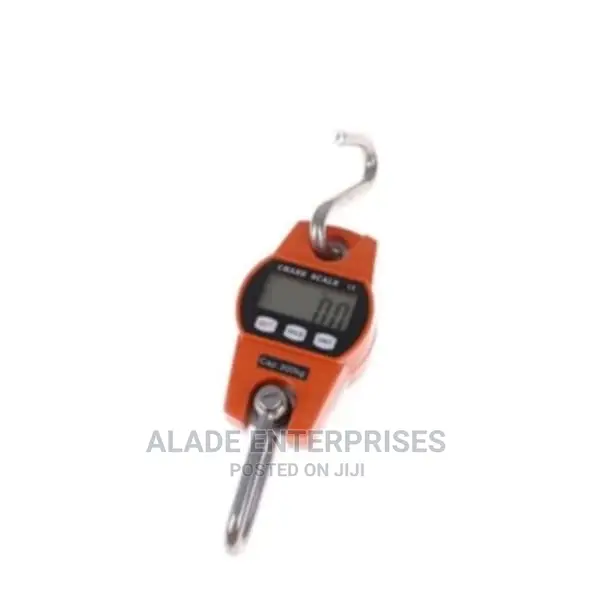 Digital Hanging Scale - 300 Kg