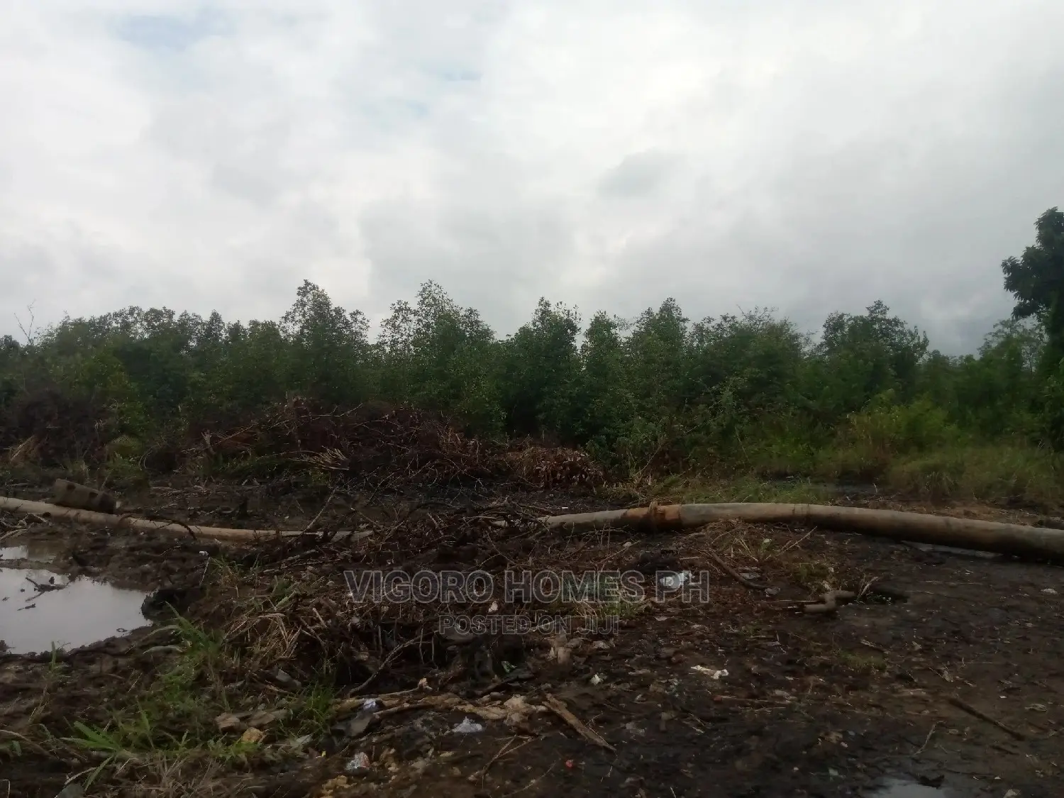 50 Plots of Water Front Land for Sale