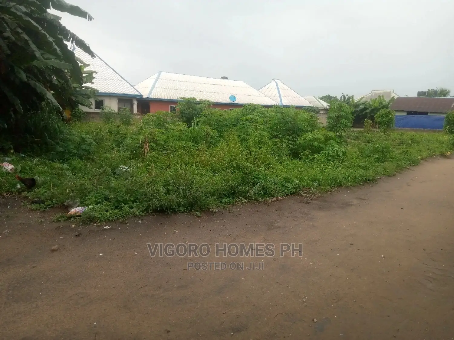 5 Plots of Land