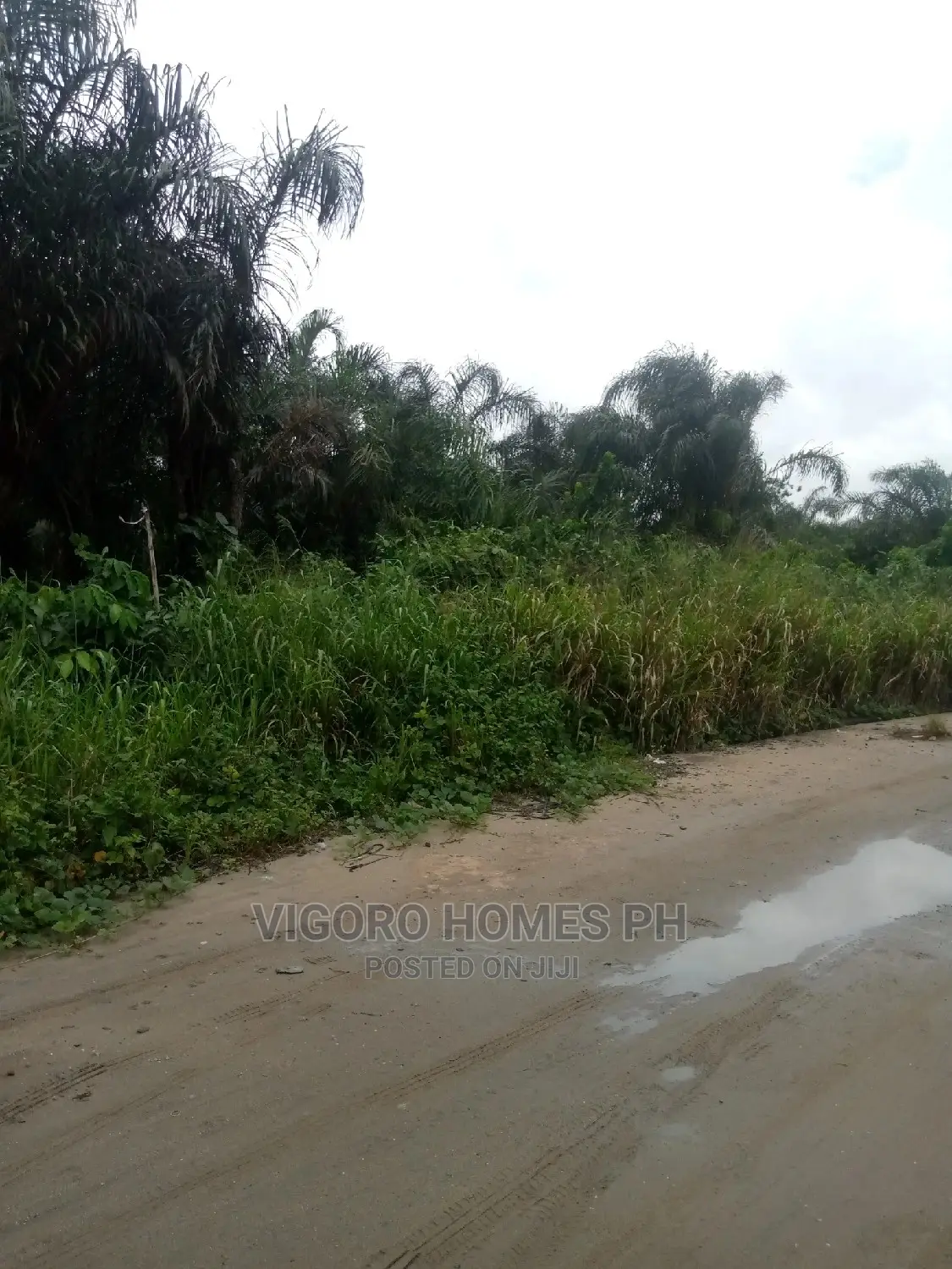 25 Plots of Commercial Land