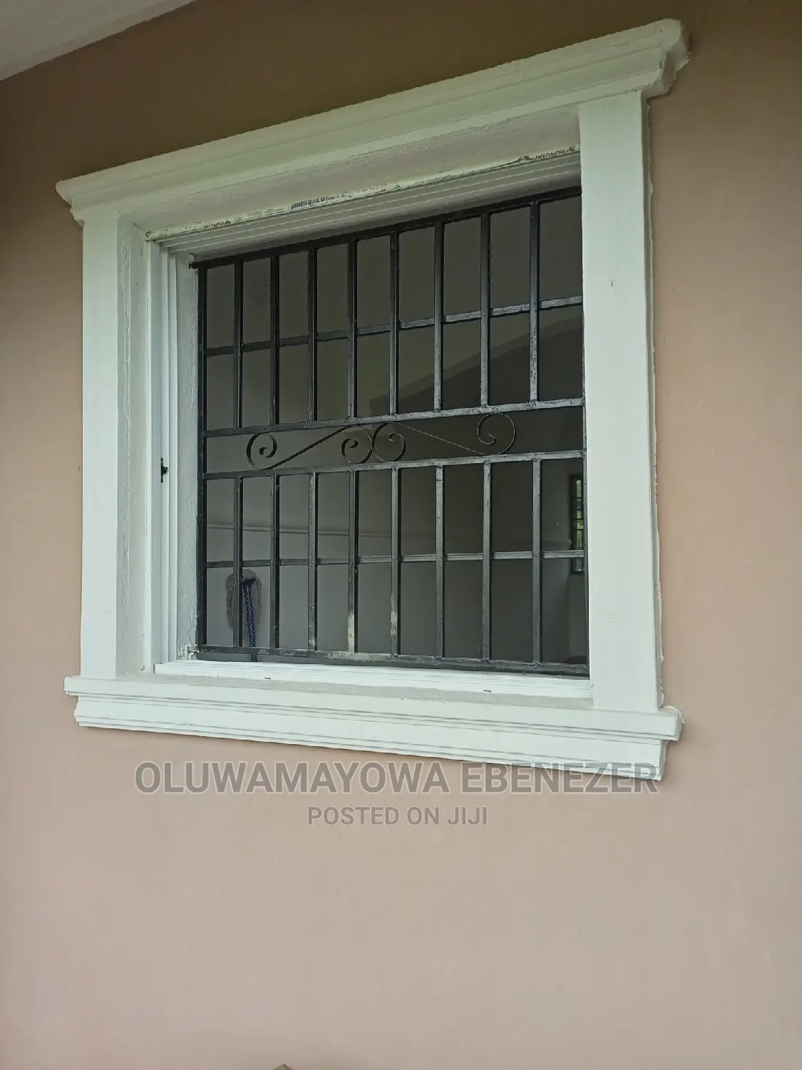 House Fumigation and Cleaning Services