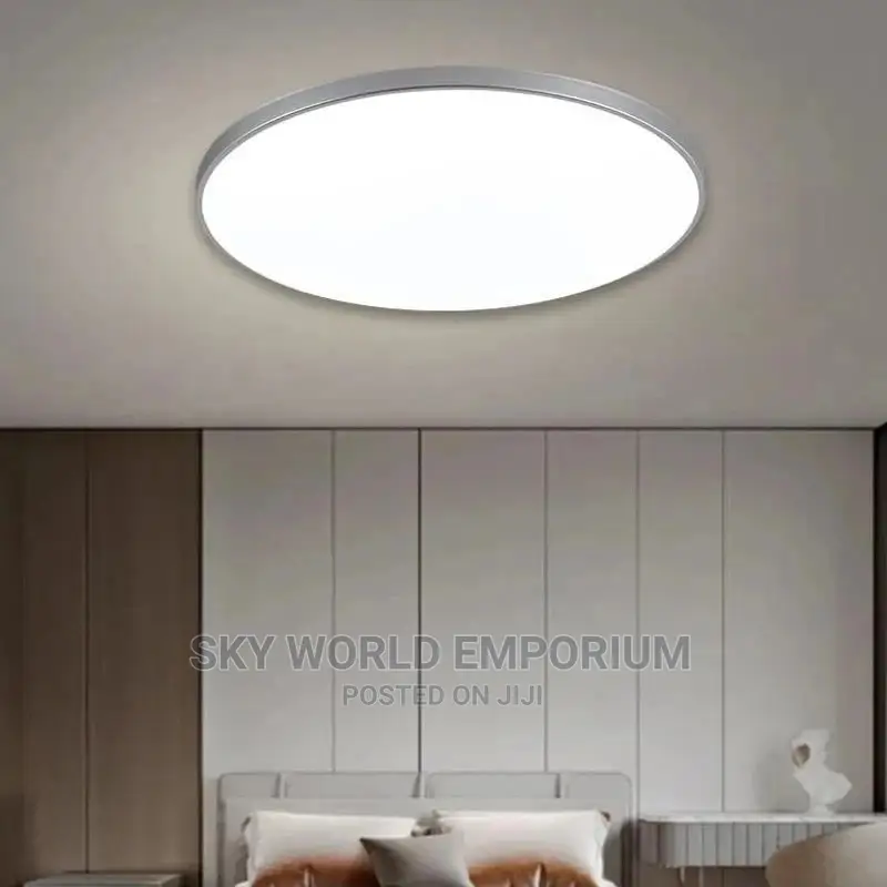 Ceiling Fitting