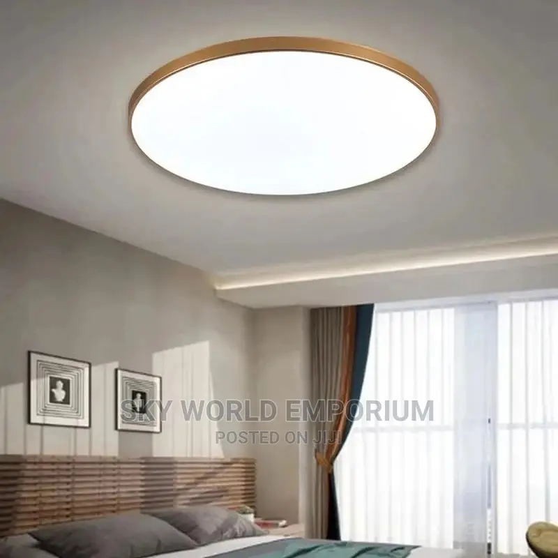 Ceiling Fitting
