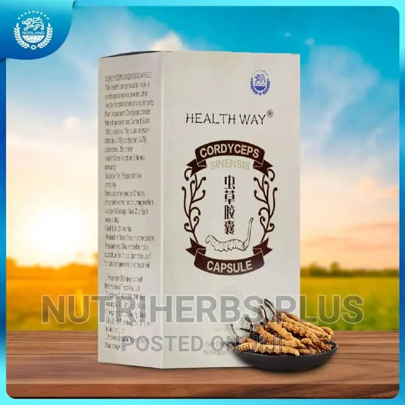 Healthway Cordyceps Sinensis Capsules for Asthma, Bronchitis