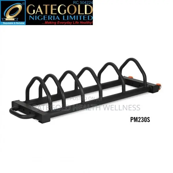 Bumper Plate Rack PM230