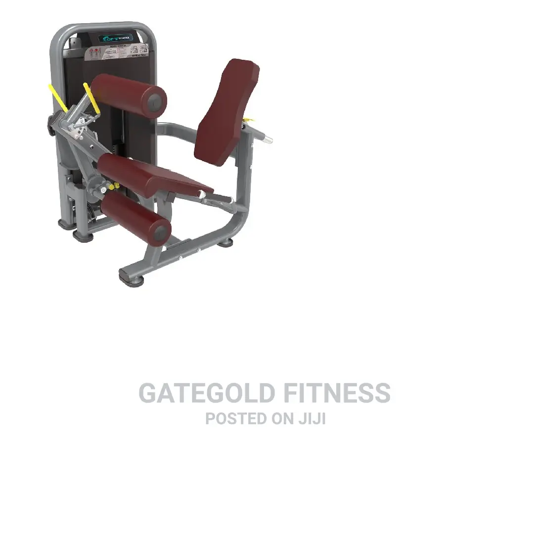 DFT1692 Leg Curl Leg Extension