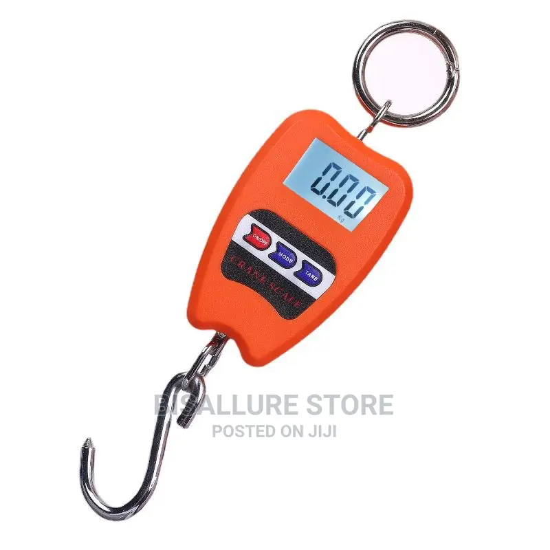 200kg Crane Scale