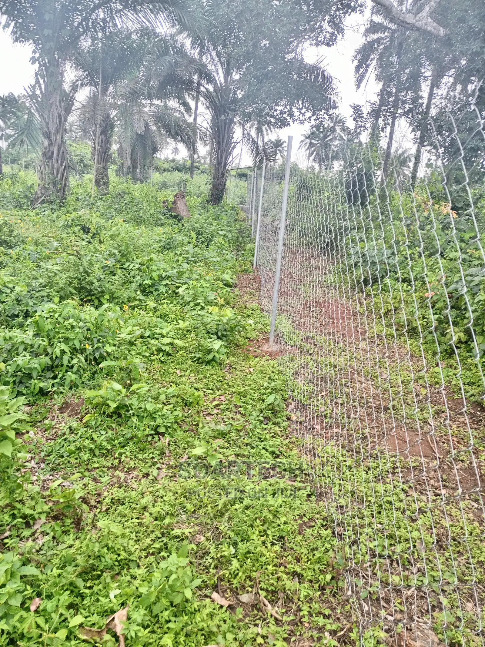 Farmland Fencing