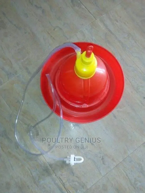Automatic Bell Drinkers