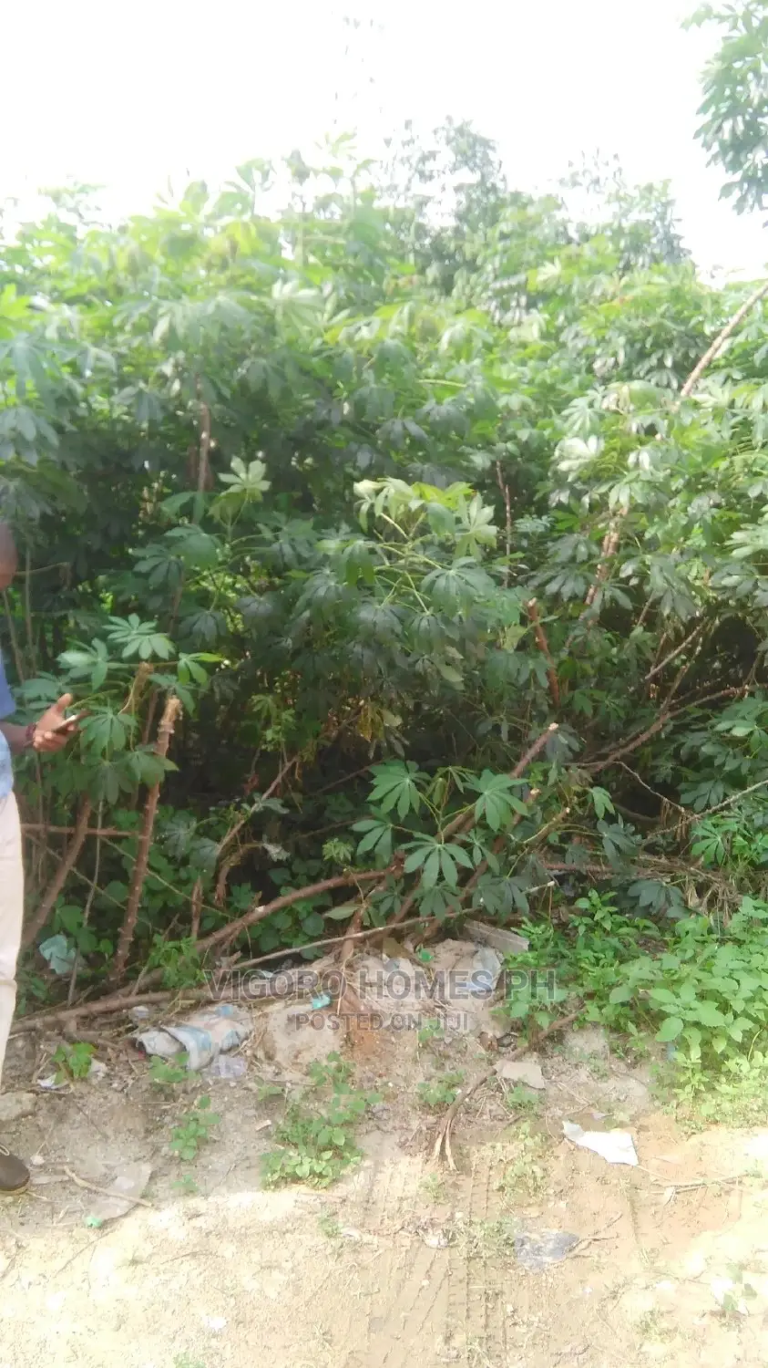 Affordable Land for Sale