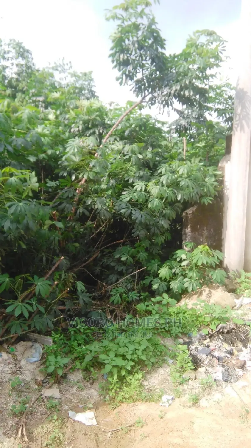 Affordable Land for Sale