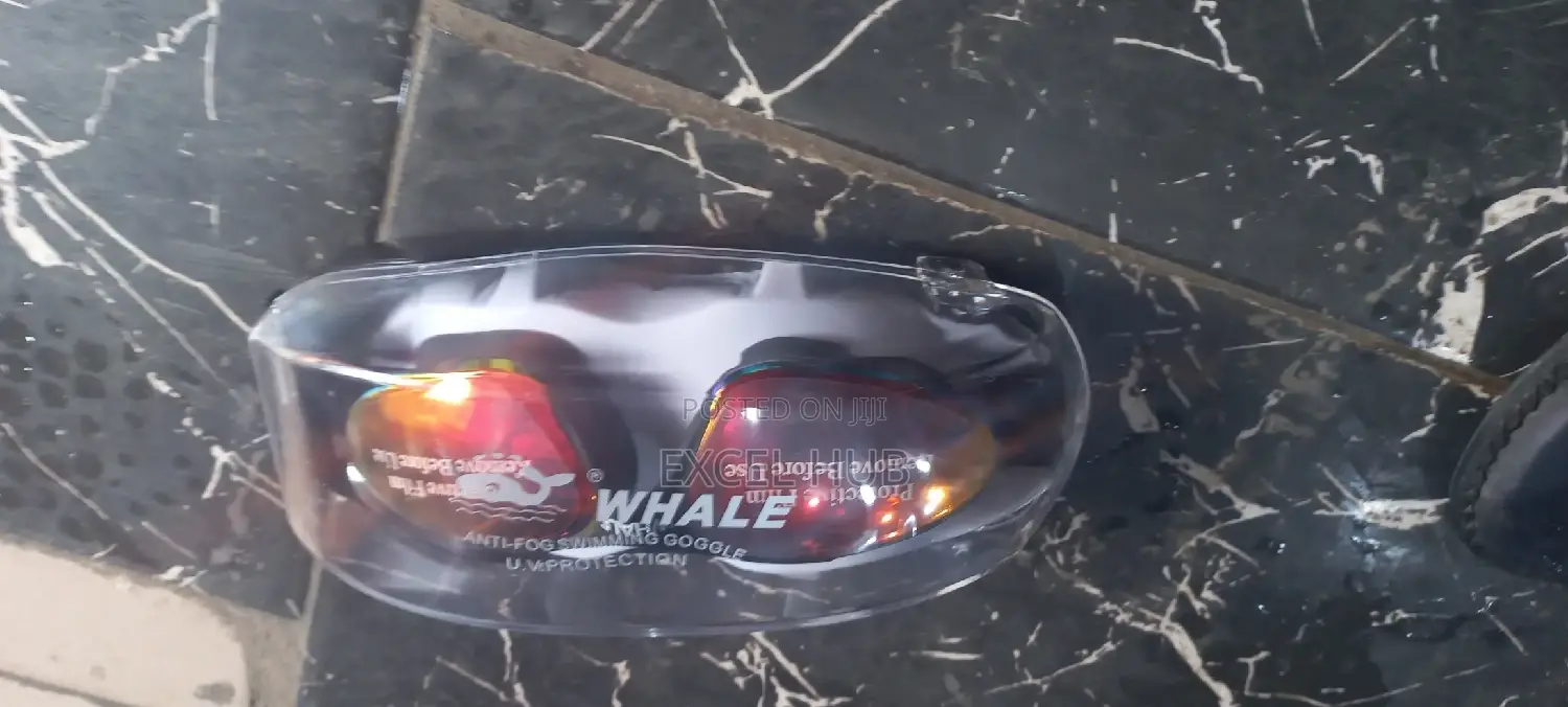 Whale Swimming Google