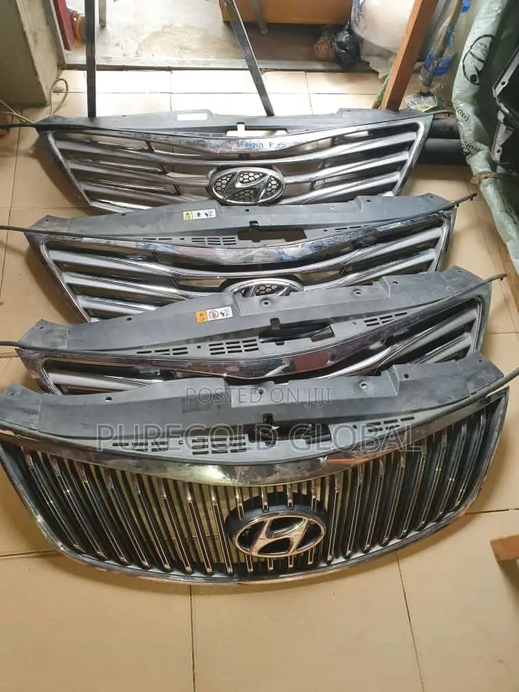 Hyundai Azera Grilles Available Here.