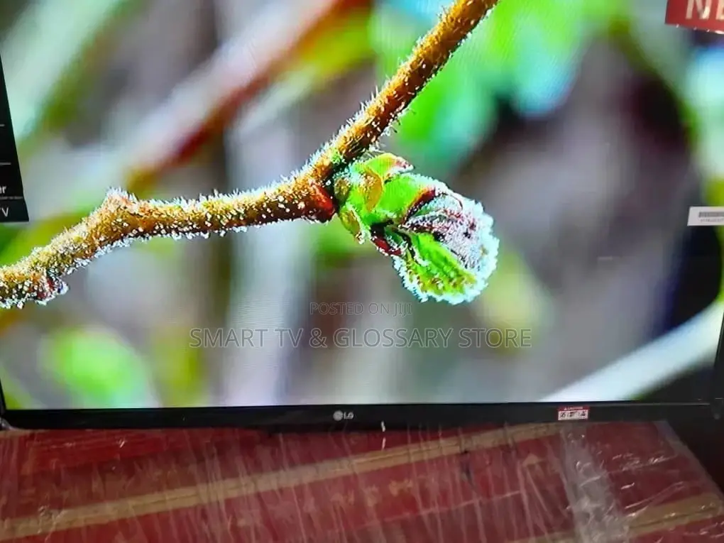 43 Inches LG ULTRA Television