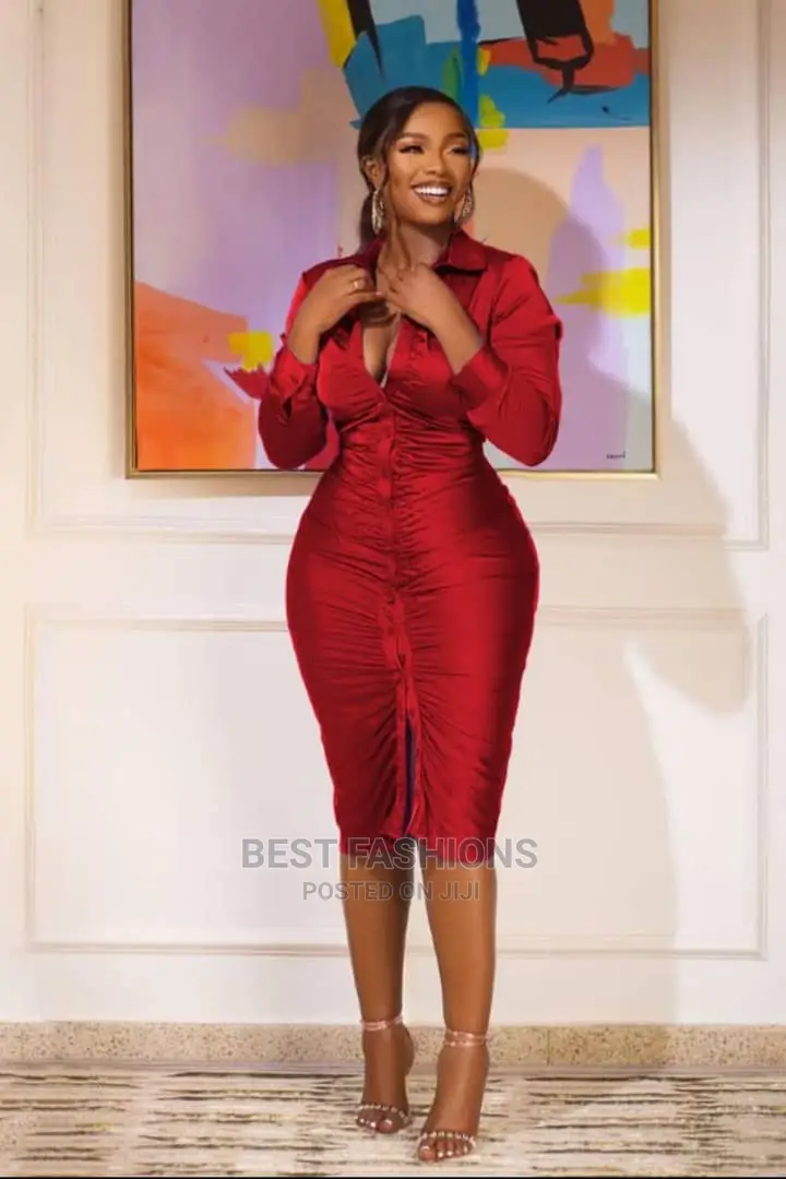 Cute Ladies Bodycon Dress