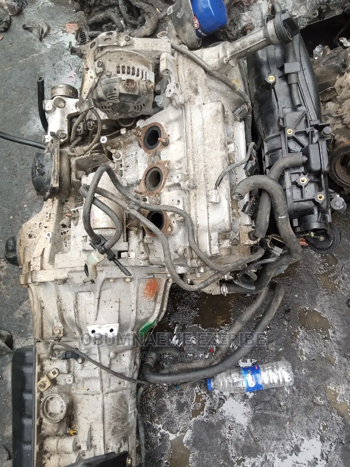 Japan Engine for Toyota 4runner Taccuma Fj Cruiser(1gr)