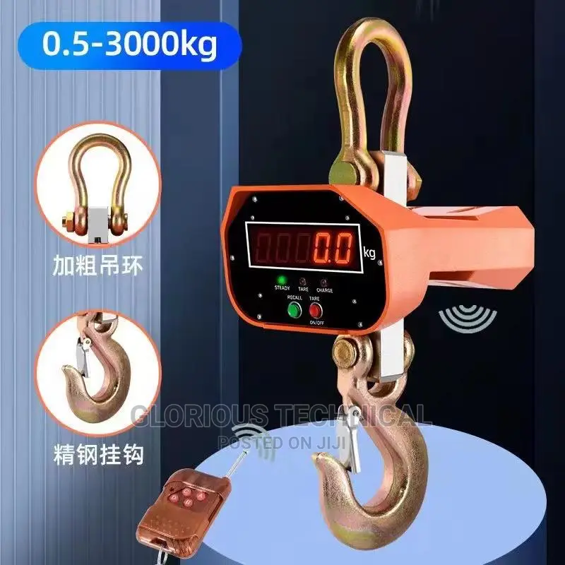 Affordable 2000kg,3000kg Crane Scale