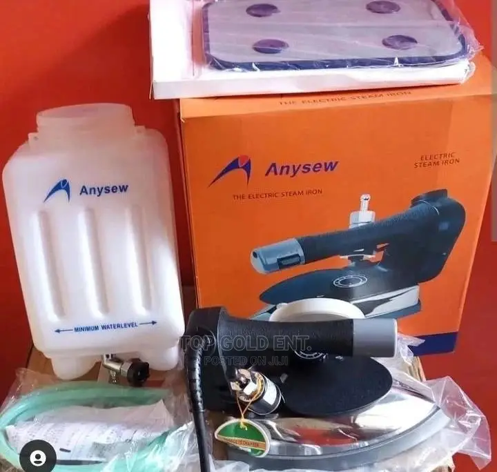 Two Lion Steam Iron