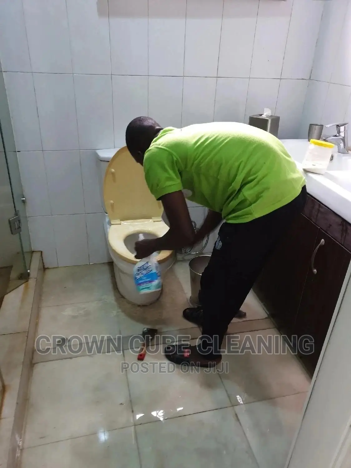 Professional House Cleaning