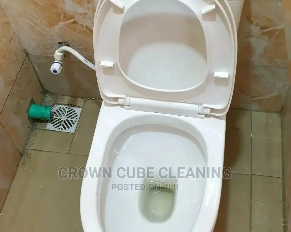 Professional House Cleaning