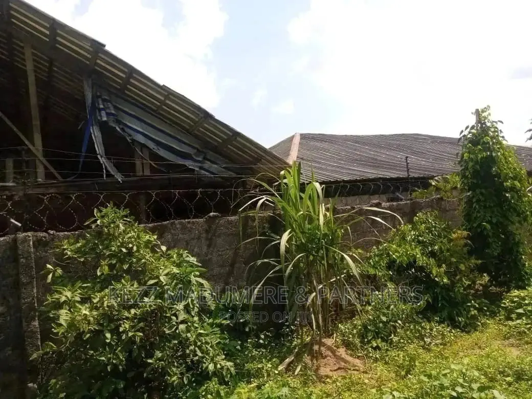 For Sale: 10 Plots Poultry Farm at Uwuagwu