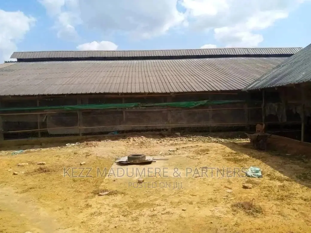 For Sale: 10 Plots Poultry Farm at Uwuagwu