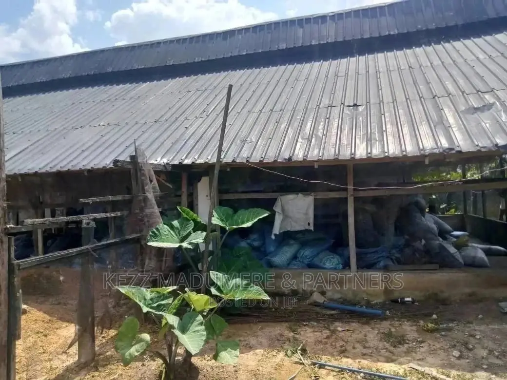 For Sale: 10 Plots Poultry Farm at Uwuagwu