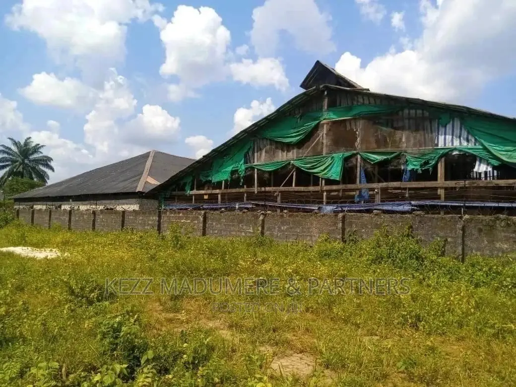 For Sale: 10 Plots Poultry Farm at Uwuagwu