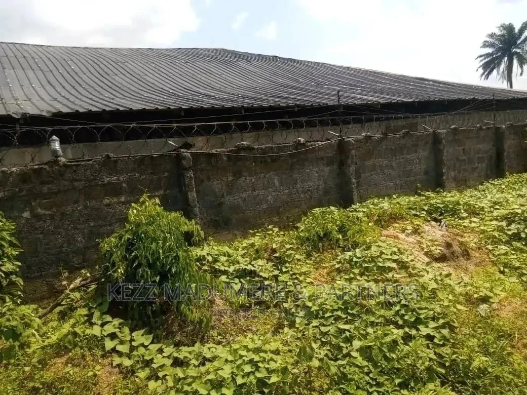 For Sale: 10 Plots Poultry Farm at Uwuagwu