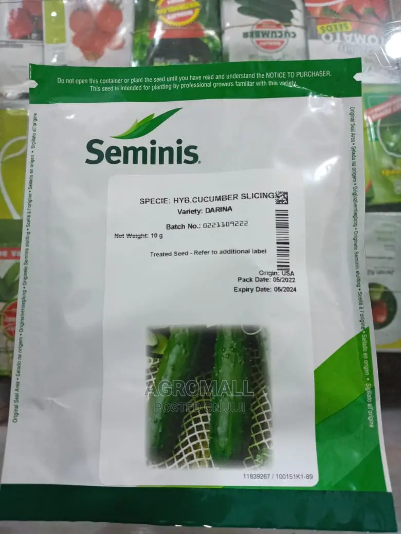 Hybrid Cucumber Seeds (Different Varieties)