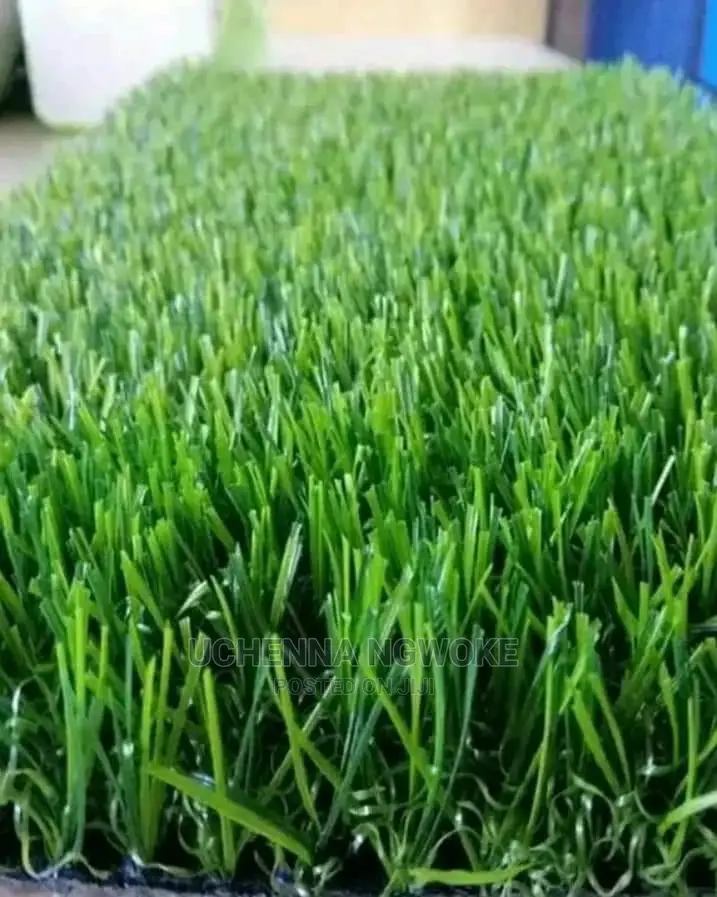 Classic Astro Turf