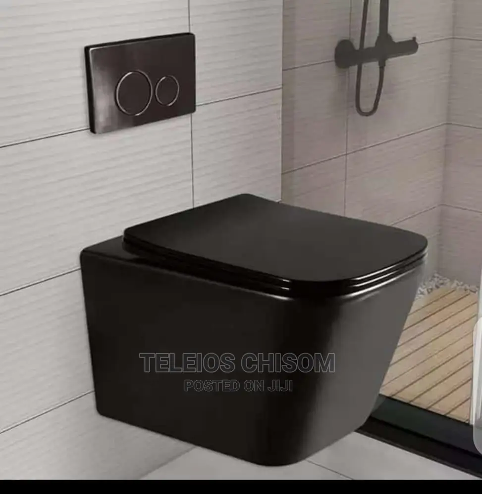 Wall Hung Wc Black