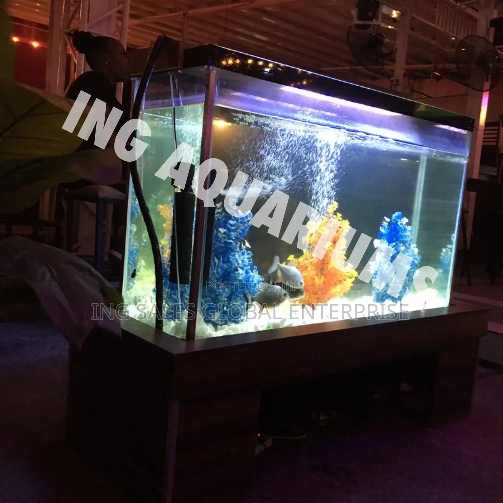 5fit Outdoor Aquarium for Lounges With Fishes