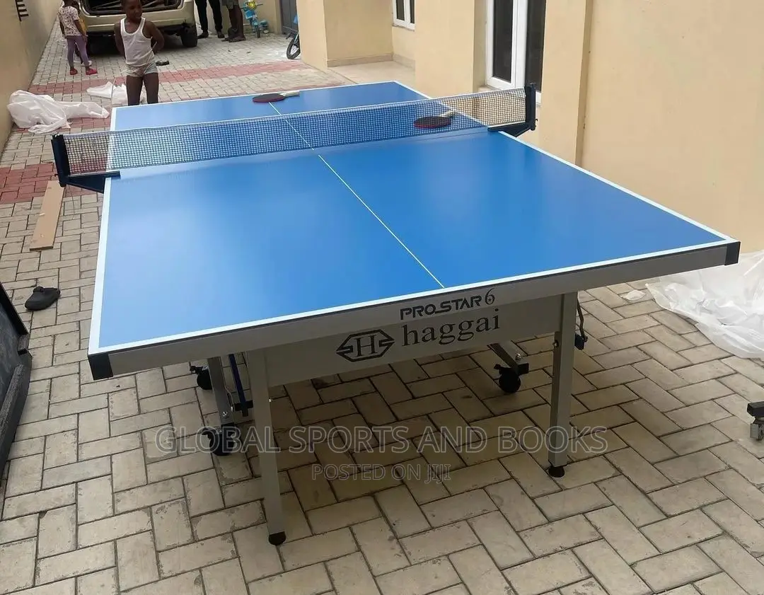 Standard High Quality Outdoor Table Tennis Board