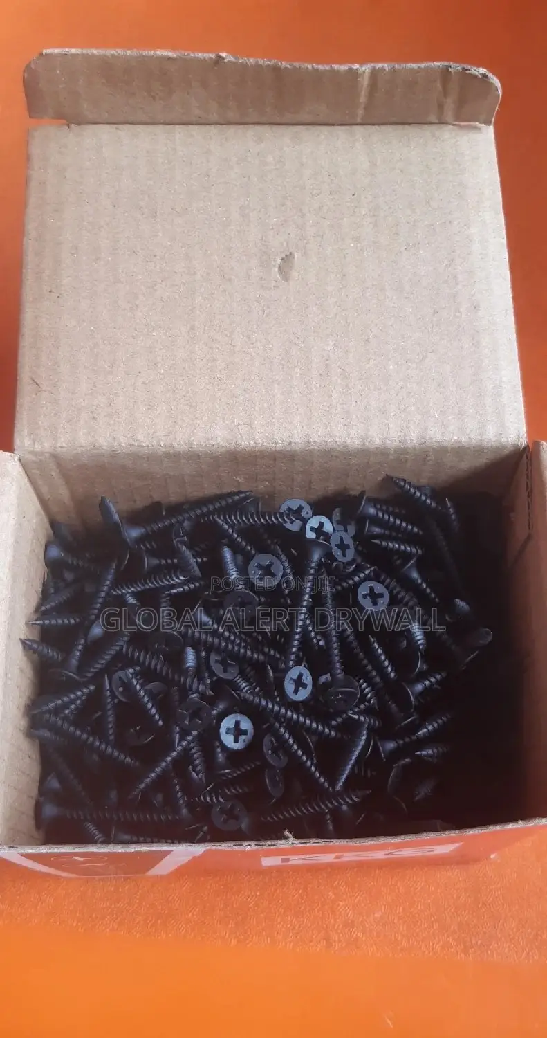 Board and Wall Screw With Fisher Peg