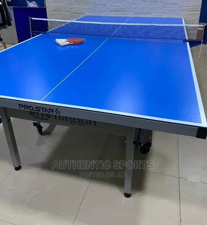 Hagai Aluminum Water Proof Outdoor Table Tennis Board