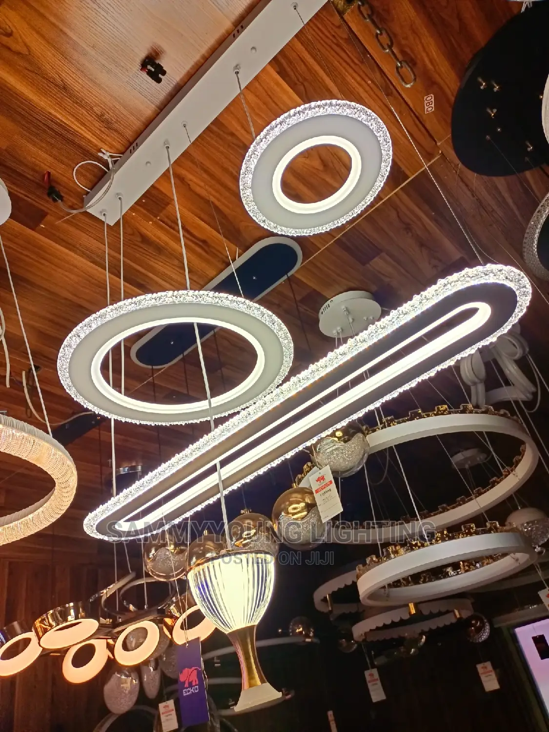 Pendant LED Light