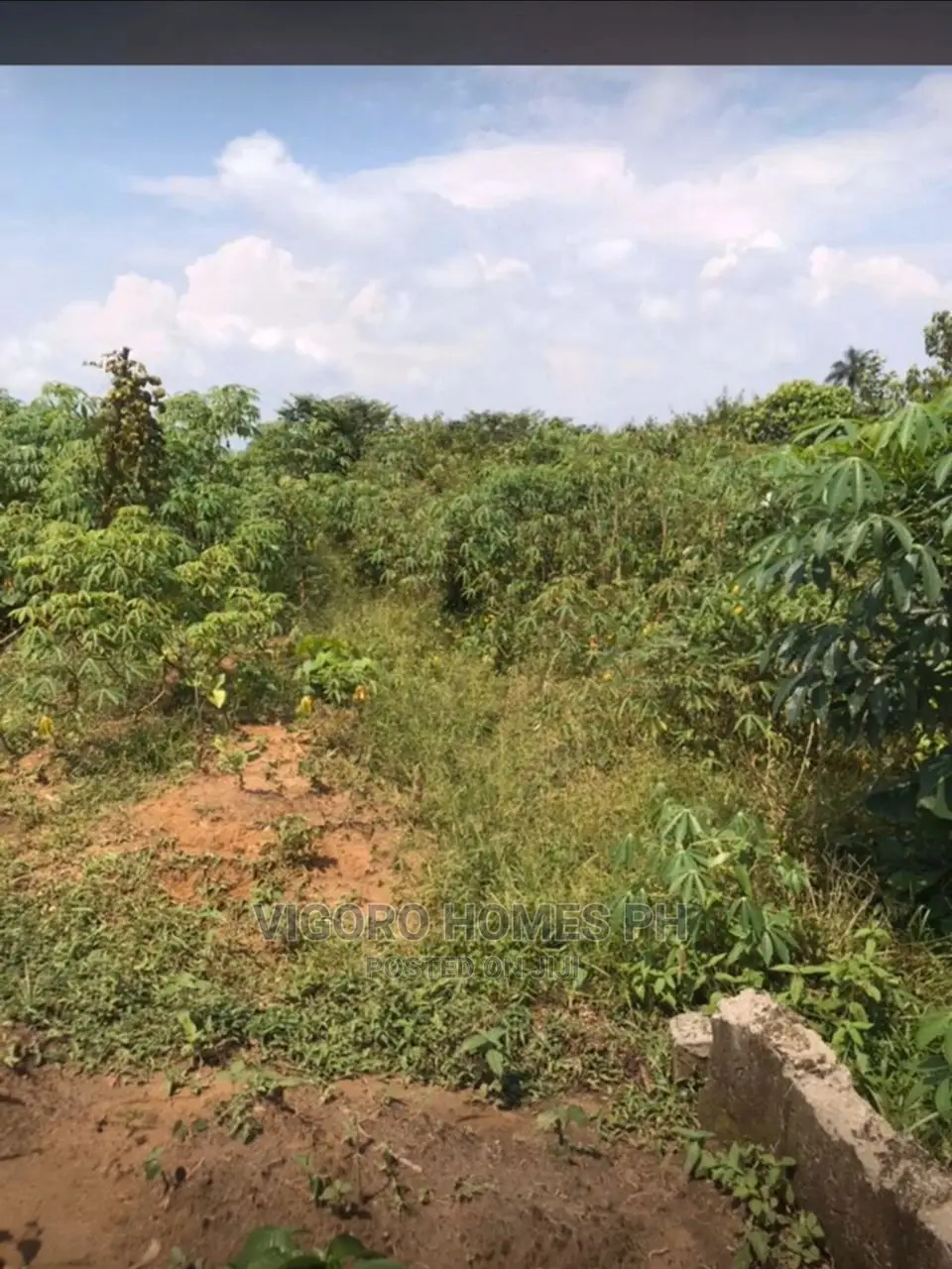 Dry Land for Sale